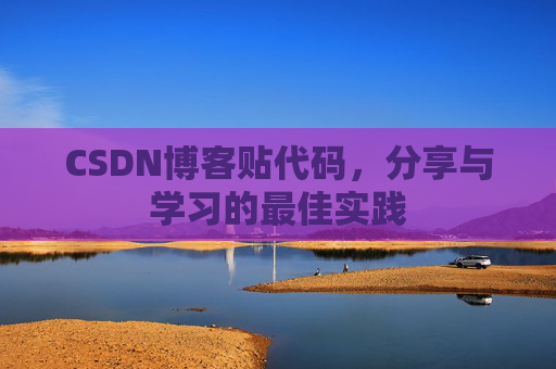 CSDN博客贴代码，分享与学习的最佳实践